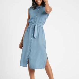 Banana Republic Tencel Shirt Dress
